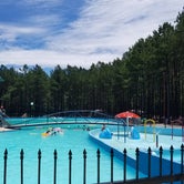 Review photo of Paradise Ranch RV Resort by Nichole B., June 20, 2019