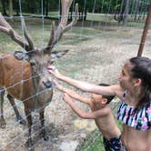 Review photo of Paradise Ranch RV Resort by Nichole B., June 20, 2019