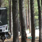 Review photo of Paradise Ranch RV Resort by Nichole B., June 20, 2019