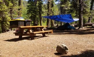 Lauren H.'s photo at Diablo near Plumas National Forest