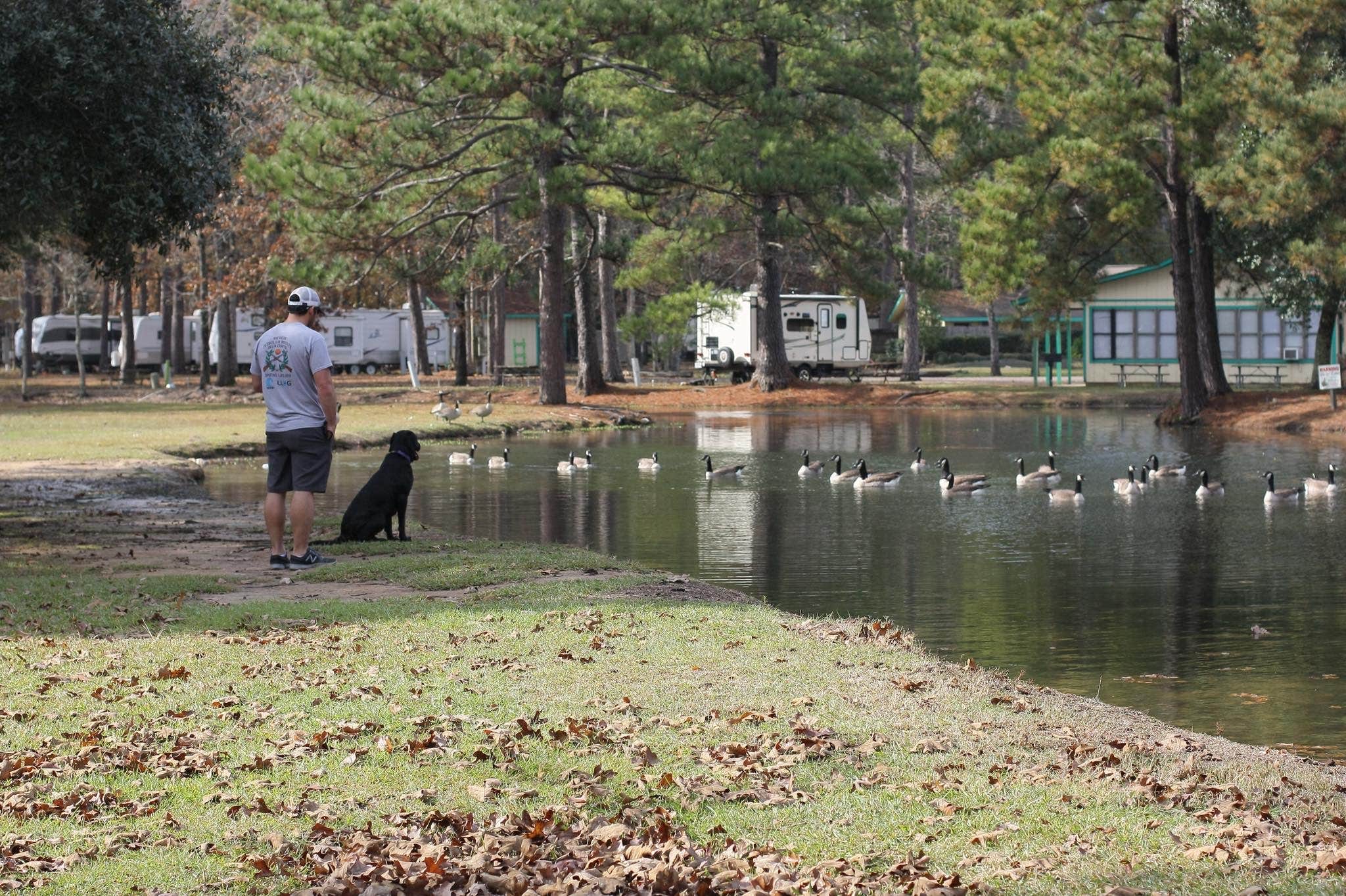 Nichole B.'s photo of camping with pets at Adventures RV Resort near Prairieville, LA