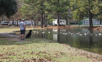 Nichole B.'s photo of camping with pets at Adventures RV Resort near Denham Springs, LA