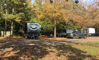 Nichole B.'s photo at Adventures RV Resort near Pride, LA