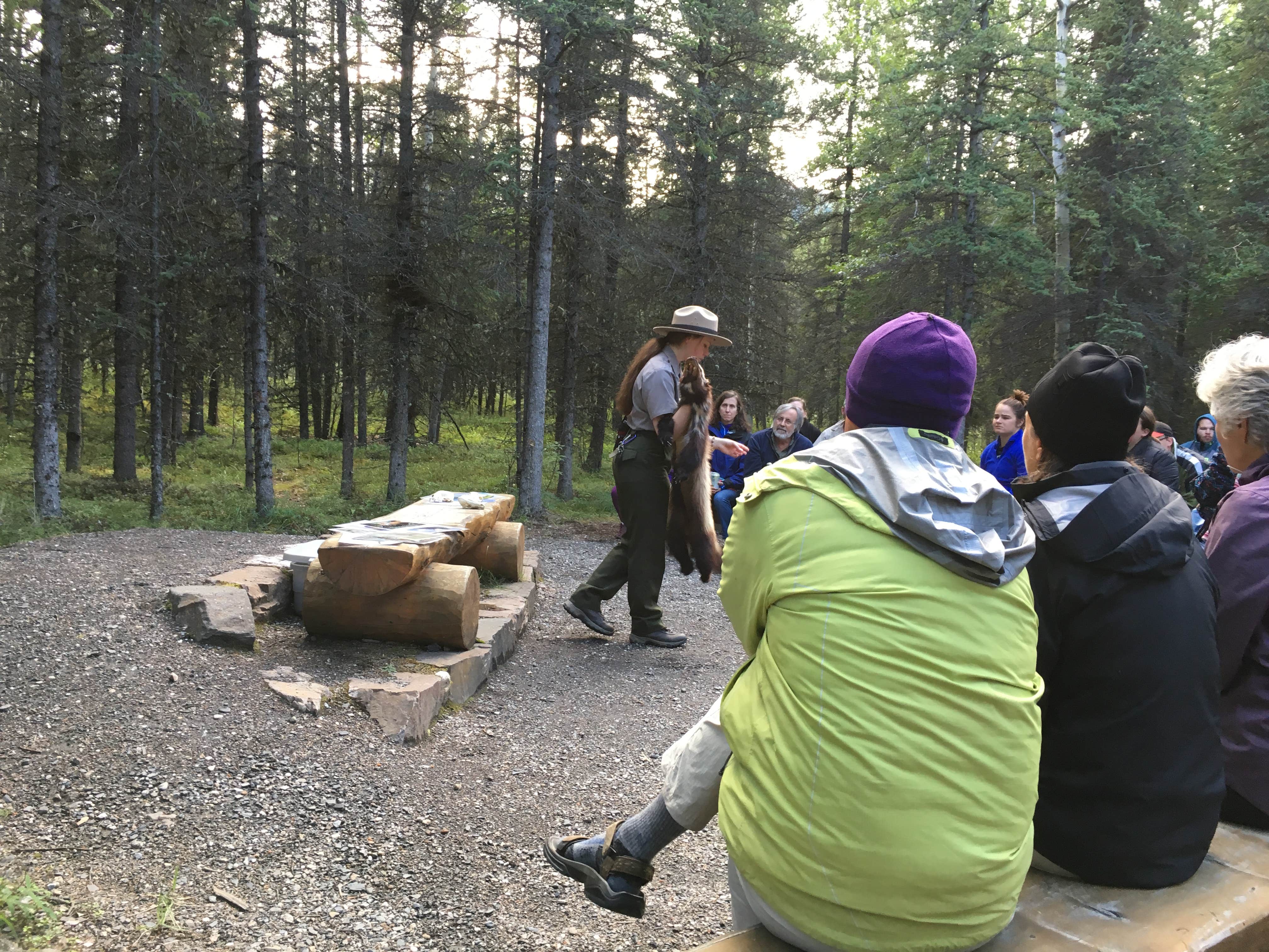Camper submitted image from Riley Creek Campground — Denali National Park - 4
