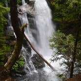 Review photo of Cougar Rock Campground — Mount Rainier National Park by Lee D., June 20, 2019