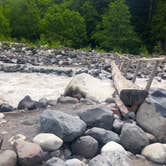 Review photo of Cougar Rock Campground — Mount Rainier National Park by Lee D., June 20, 2019