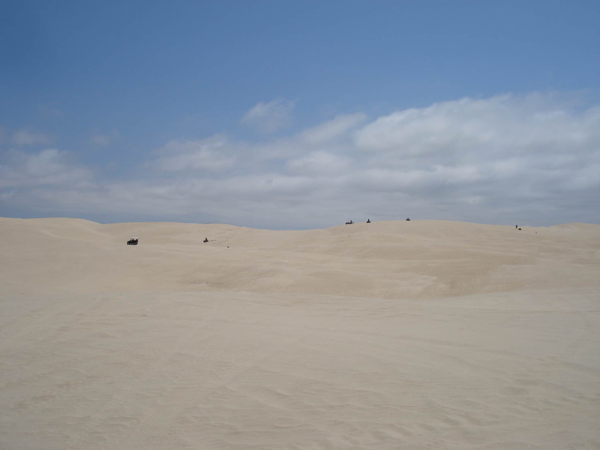 Camper submitted image from Oceano Campground — Pismo State Beach - 2