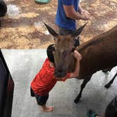 Review photo of Paradise Ranch RV Resort by Nichole B., June 20, 2019