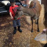 Review photo of Paradise Ranch RV Resort by Nichole B., June 20, 2019