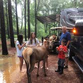 Review photo of Paradise Ranch RV Resort by Nichole B., June 20, 2019
