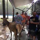 Review photo of Paradise Ranch RV Resort by Nichole B., June 20, 2019