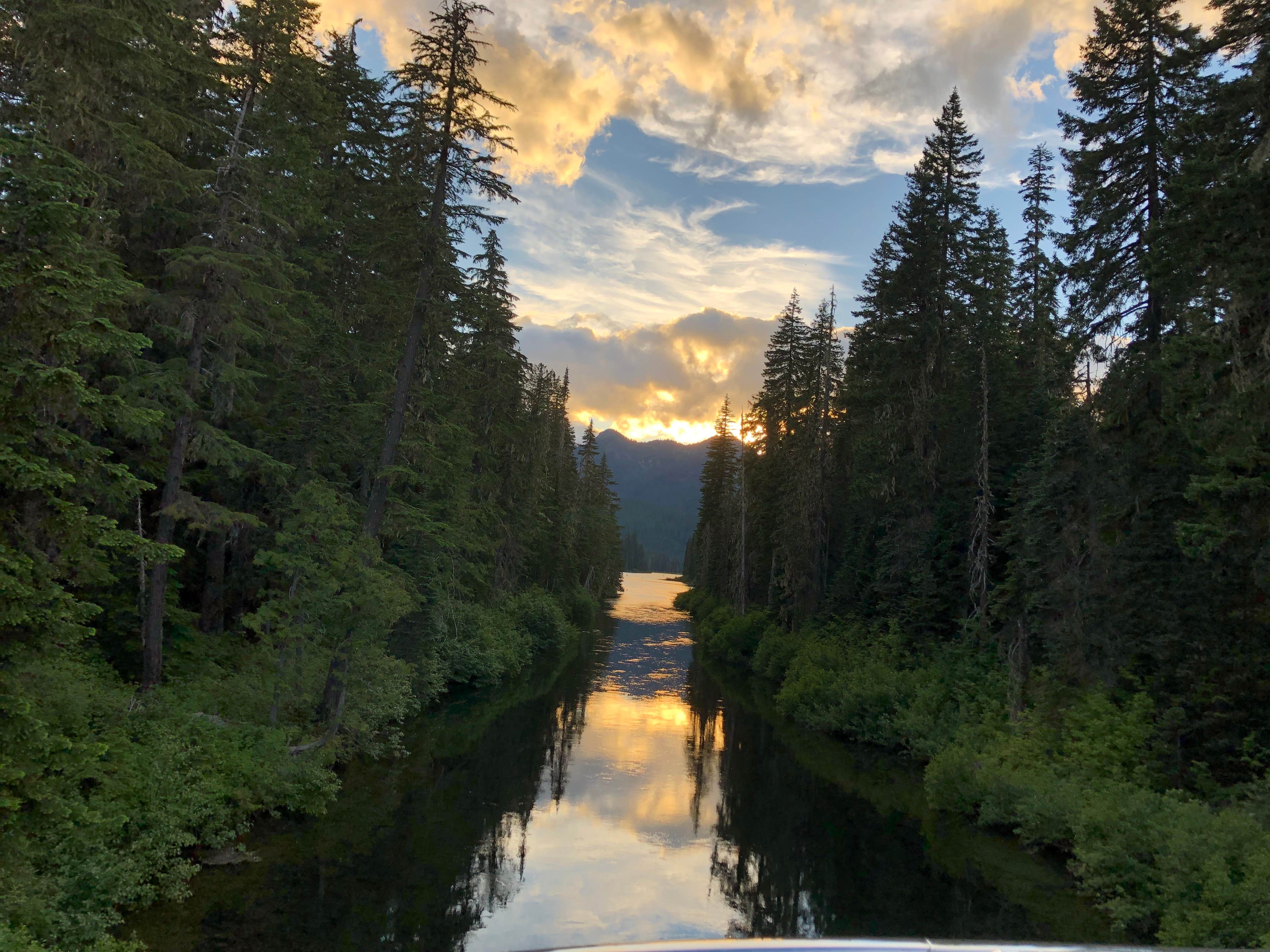 Issaquah - Photo 3