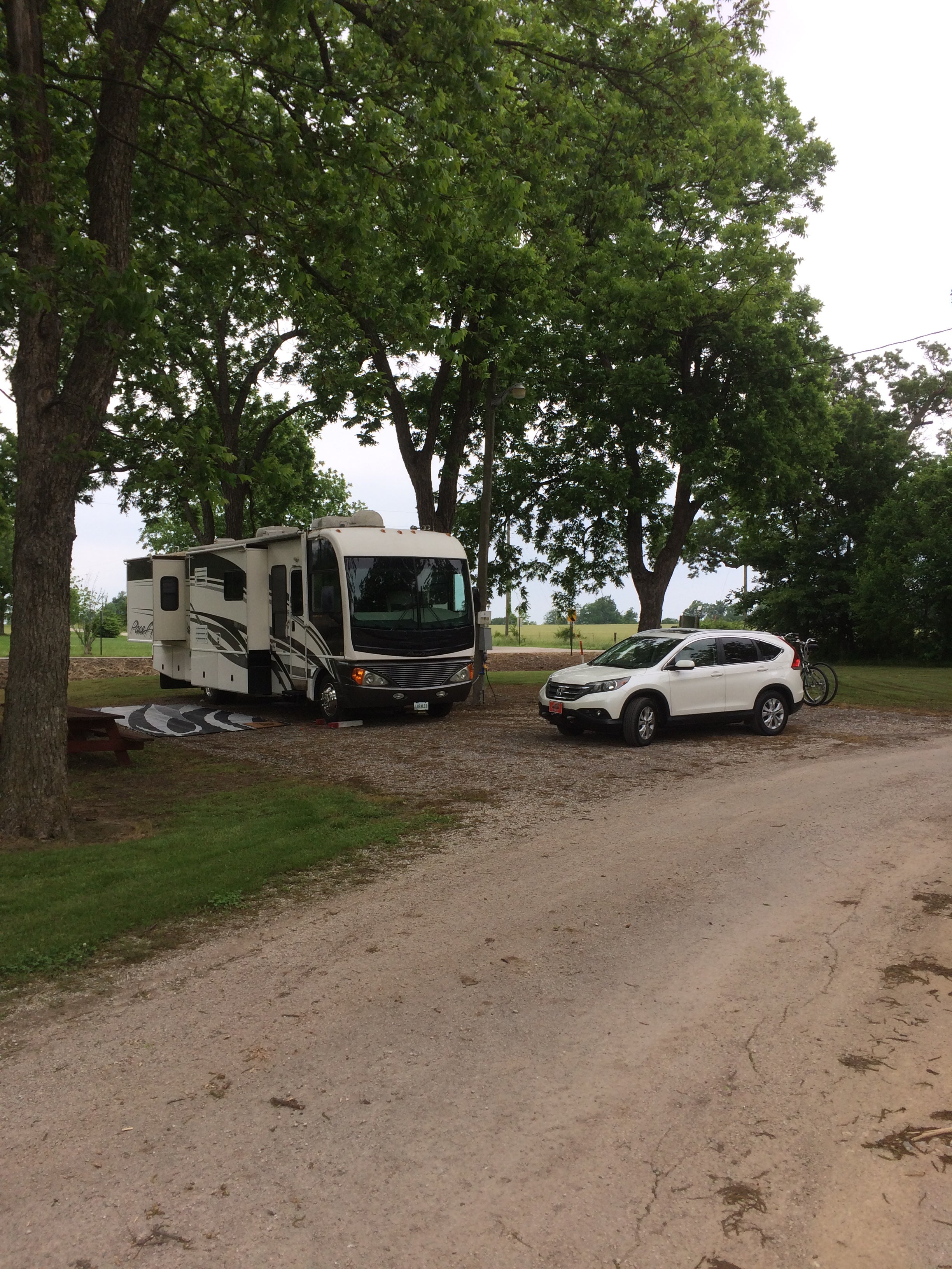 Camper submitted image from Elmore Park - 5