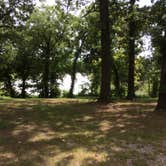 Review photo of Elmore Park by Randy C., June 20, 2019