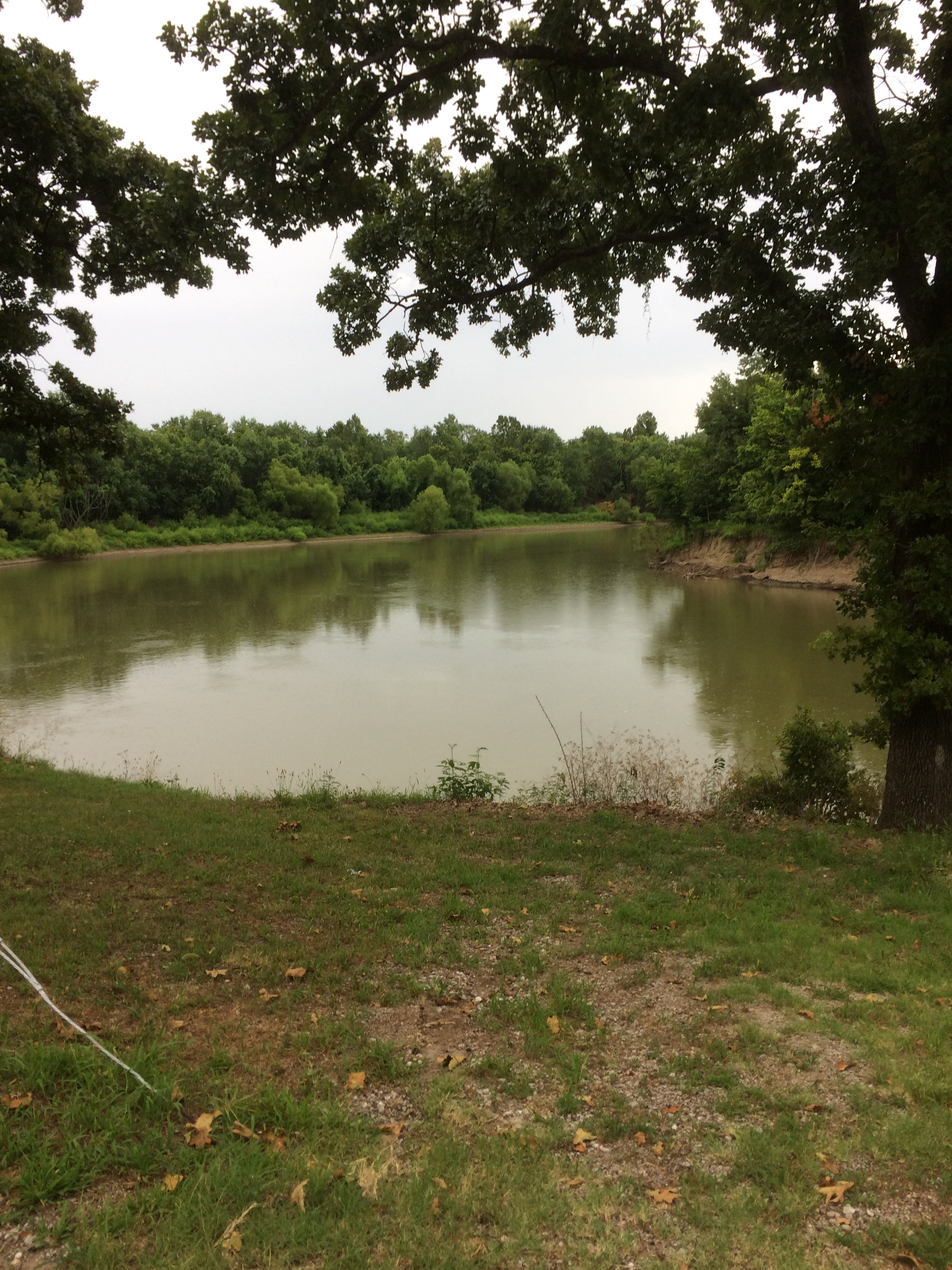 Camper submitted image from Elmore Park - 1