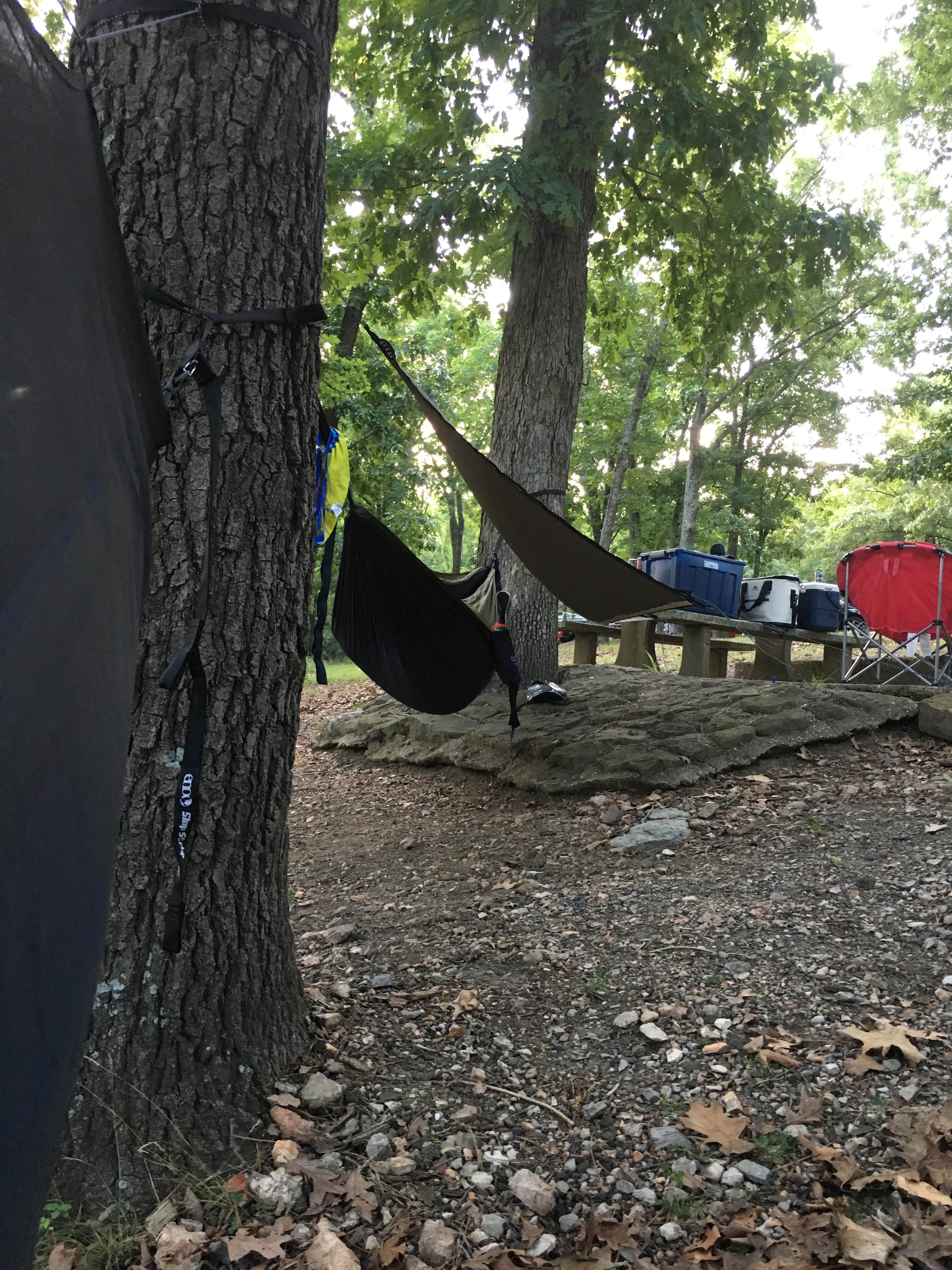 Camper submitted image from Starkey Campground - 5