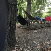 Review photo of Starkey Campground by Kelly C., June 20, 2019