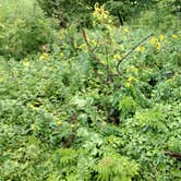 Review photo of Hitchcock County Nature Center by Karen W., June 20, 2019