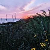 Review photo of Moro Campground — Crystal Cove State Park by Brandice S., June 20, 2019