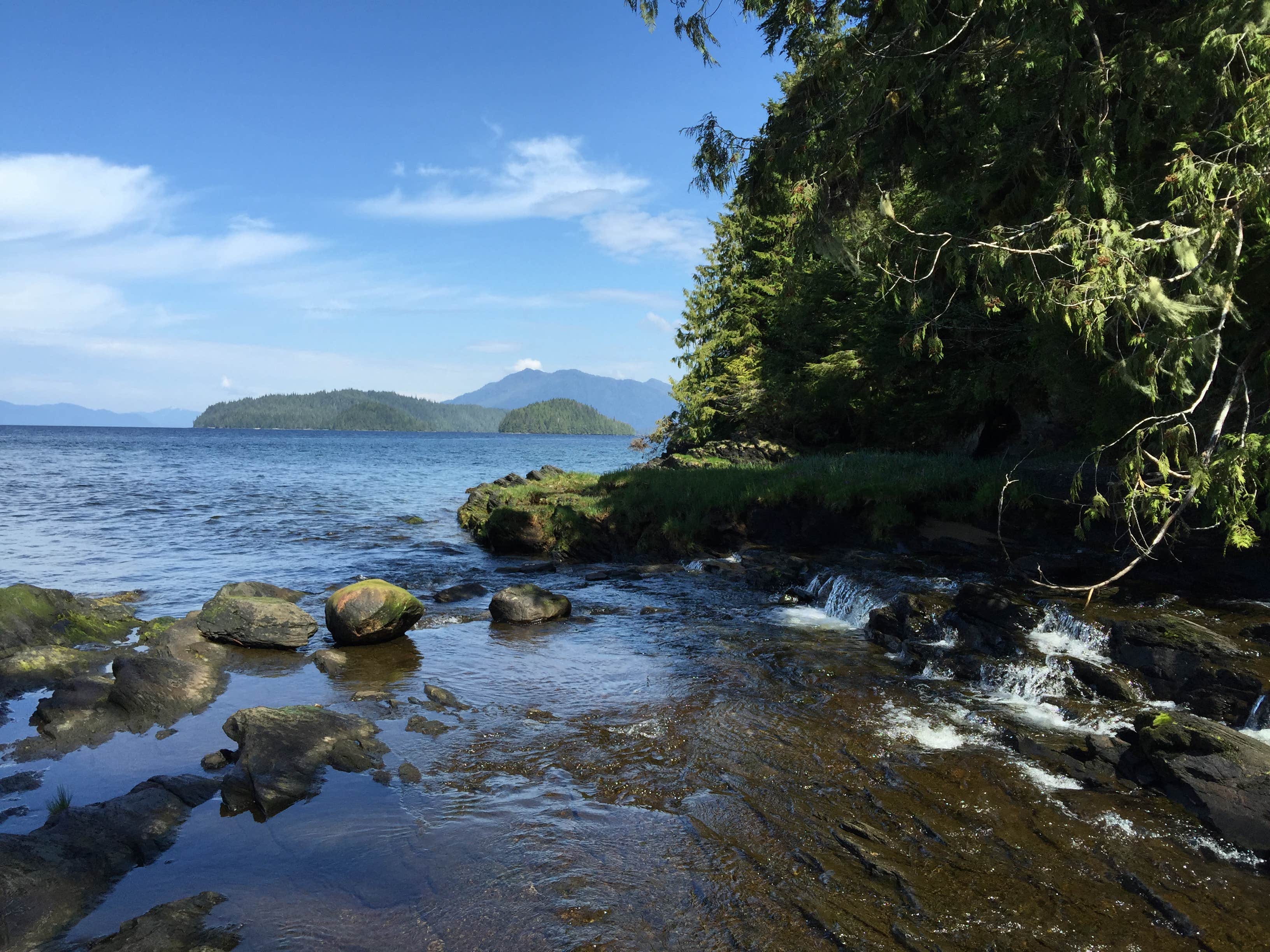 Settlers Cove State Rec Area The Dyrt