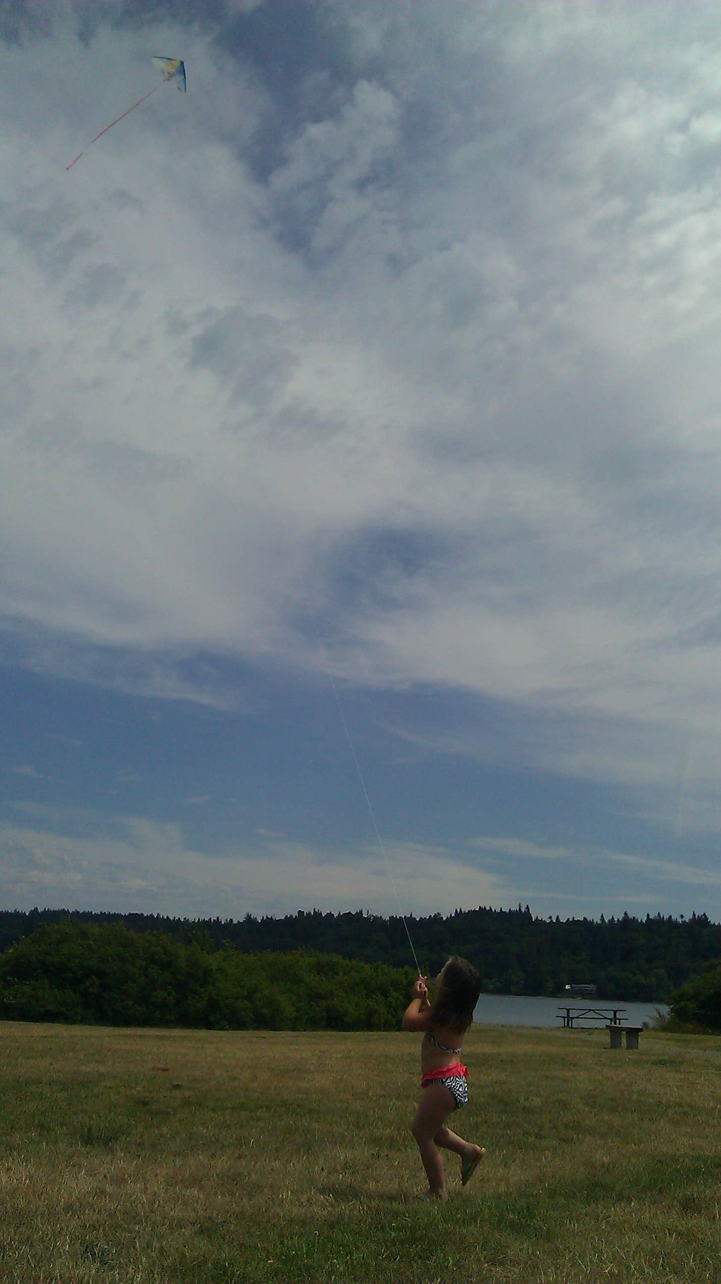 Camper submitted image from Potlatch State Park Campground - 5
