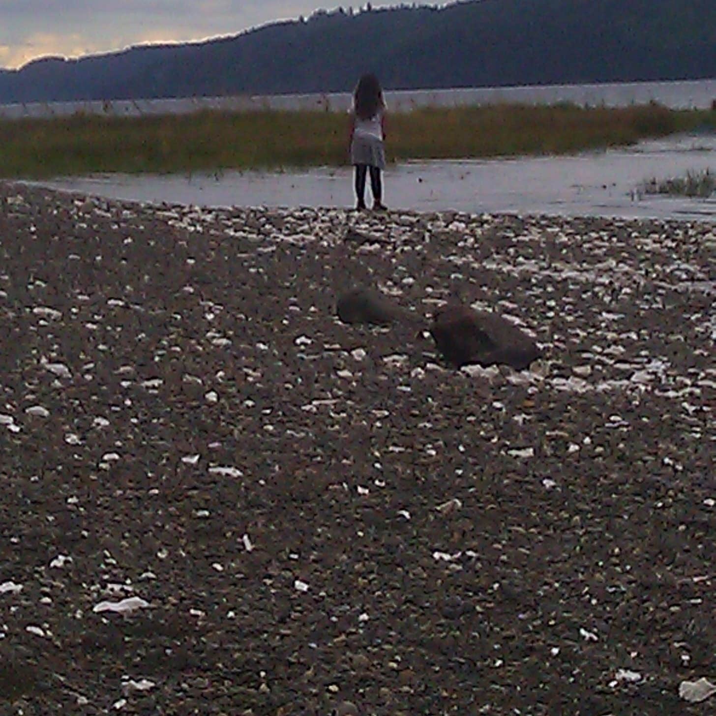 Potlatch State Park Camping The Dyrt