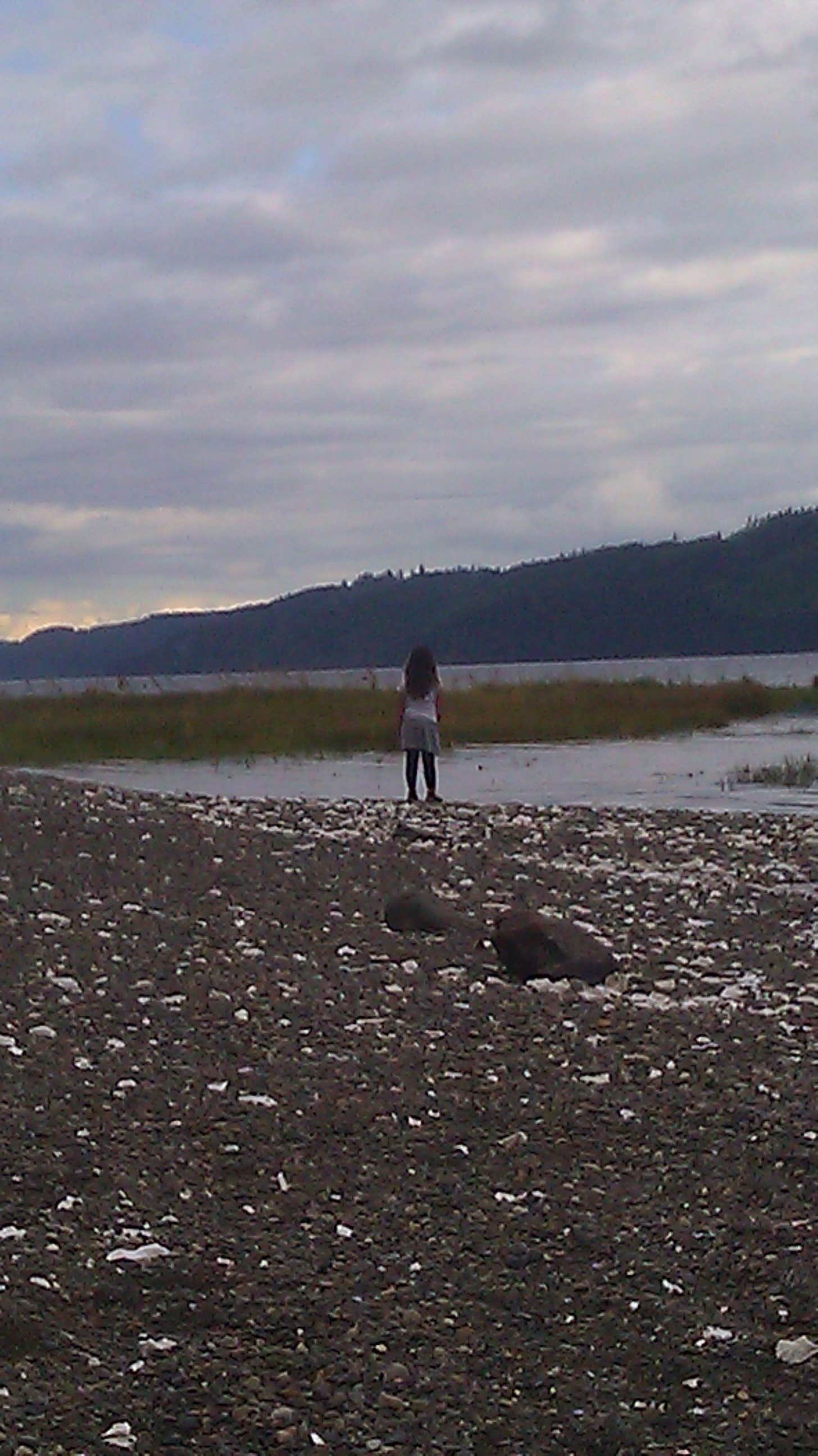 Potlatch State Park Campground Shelton, WA