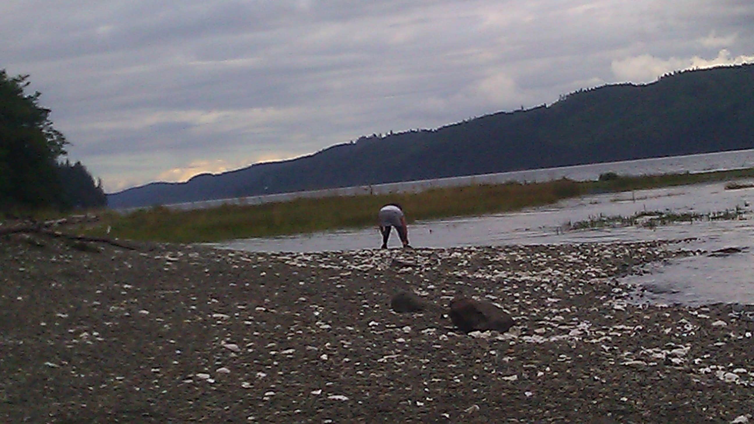 Camper-submitted photo at Potlatch State Park Campground near Matlock, WA