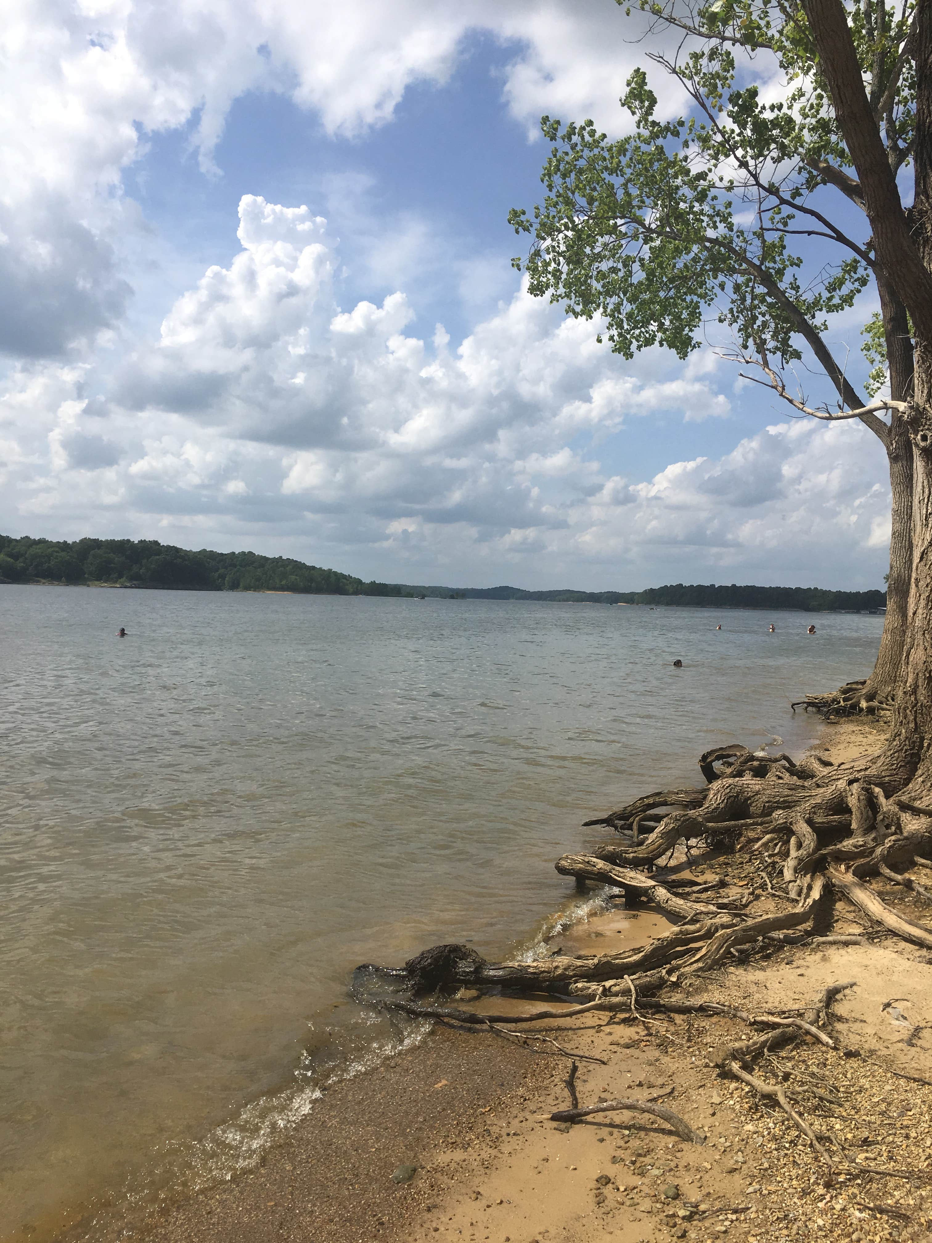 Camper submitted image from Barren River Lake Resort Lodge & Cottages — Barren River Lake State Resort Park - 4