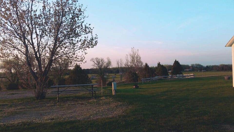 site 3 & 4 looking at the cottonwoods, Pa planted