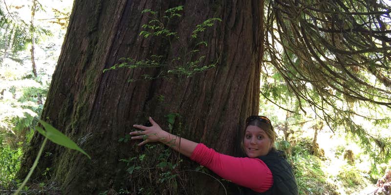 Camper submitted image from Settler's Cove State Rec Area Campground