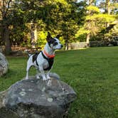 Review photo of Thousand Trails Sturbridge by Sammii D., June 20, 2019