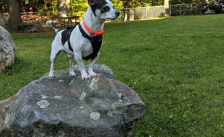 Sammii D.'s photo of camping with pets at Thousand Trails Sturbridge near Buffumville Lake