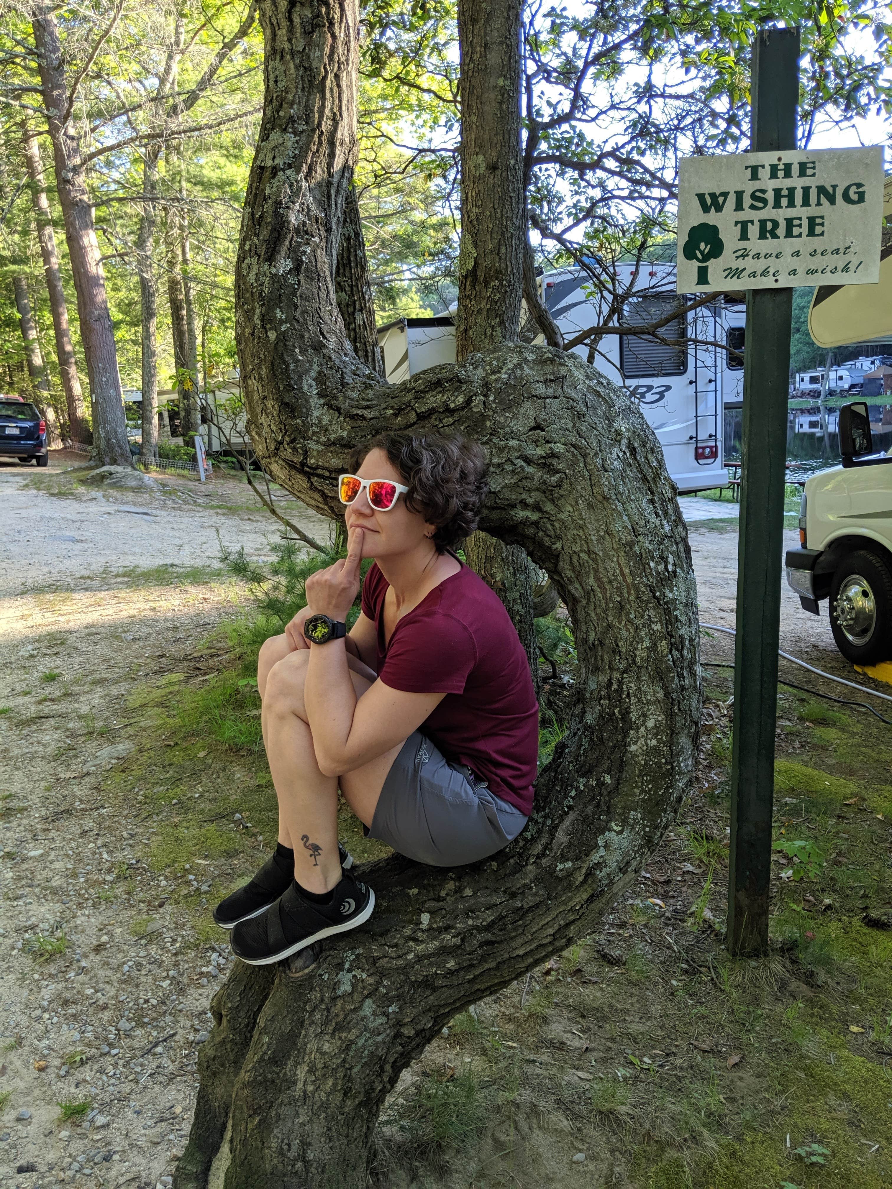 Camper submitted image from Thousand Trails Sturbridge - 3