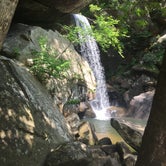 Review photo of Cumberland Falls State Resort Park by Erin R., June 20, 2019
