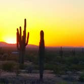 Review photo of Picacho Peak State Park Campground by Lora H., June 20, 2019