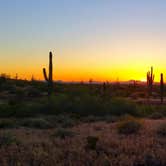 Review photo of Picacho Peak State Park Campground by Lora H., June 20, 2019
