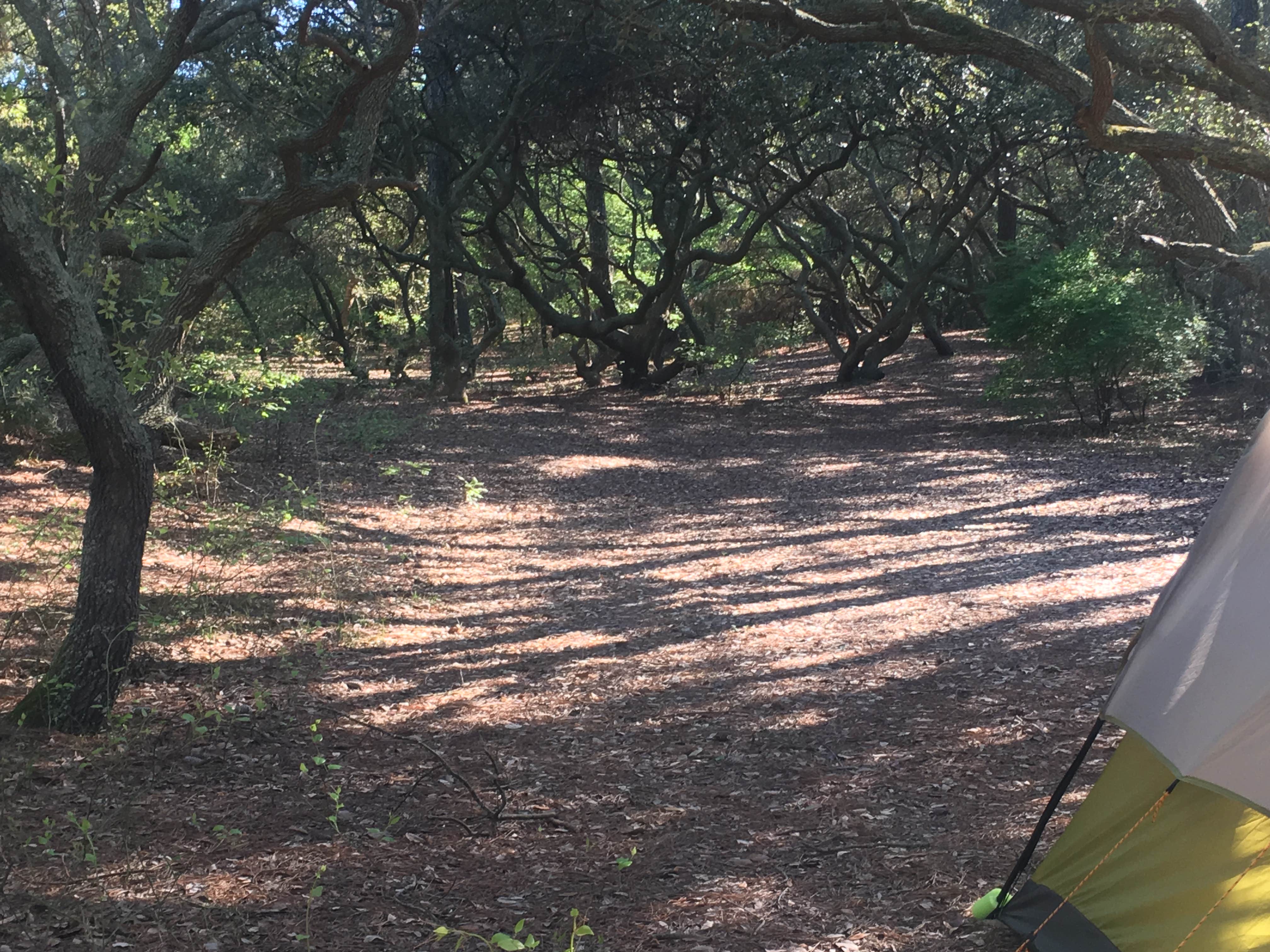 Kate K.'s photo at First Landing State Park Campground near Carrollton, VA