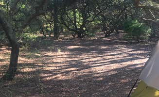 Kate K.'s photo at First Landing State Park Campground near Carrollton, VA