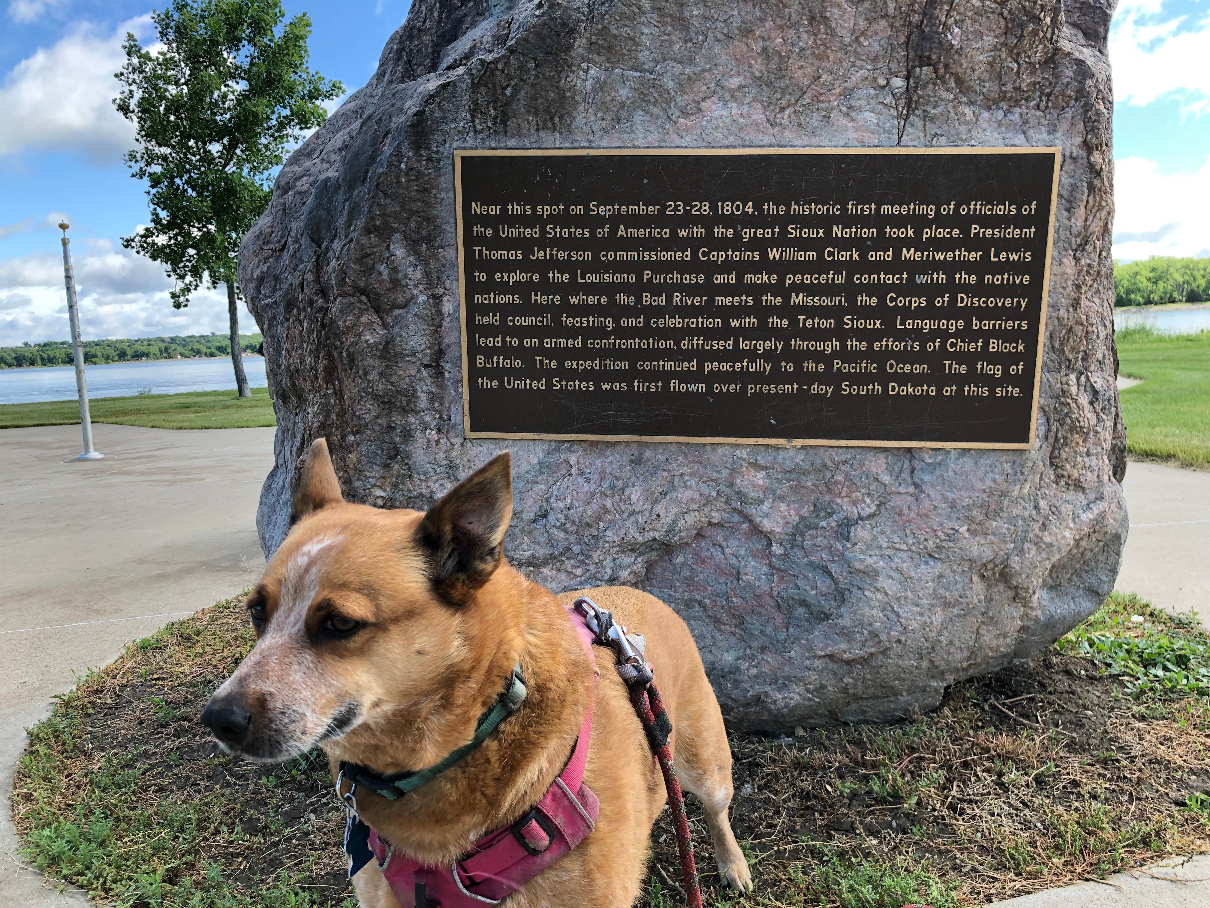 Art S.'s photo of camping with pets at Fischers Lilly Park near Lake Oahe