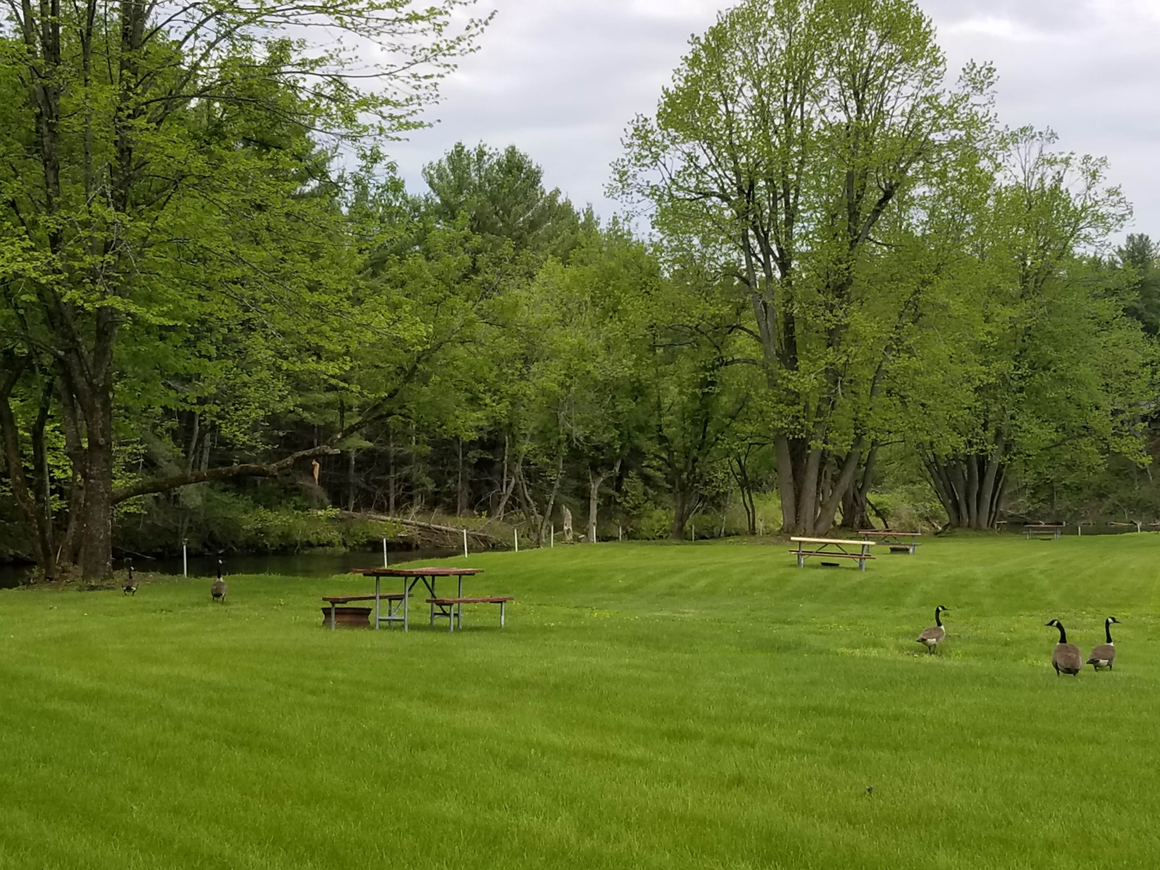 Camper-submitted photo at Pine Ridge Park Campsite near Massena, NY
