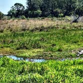 Review photo of Kilpatrick Hammock Campground — Kissimmee Prairie Preserve State Park by David G., June 20, 2019