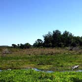 Review photo of Kilpatrick Hammock Campground — Kissimmee Prairie Preserve State Park by David G., June 20, 2019