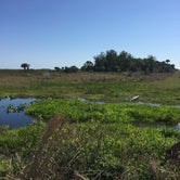 Review photo of Kissimmee Prairie Preserve State Park Campground by David G., June 20, 2019