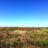 Review photo of Kissimmee Prairie Preserve State Park Campground by David G., June 20, 2019