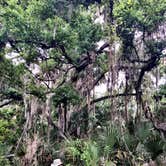 Review photo of Kilpatrick Hammock Campground — Kissimmee Prairie Preserve State Park by David G., June 20, 2019