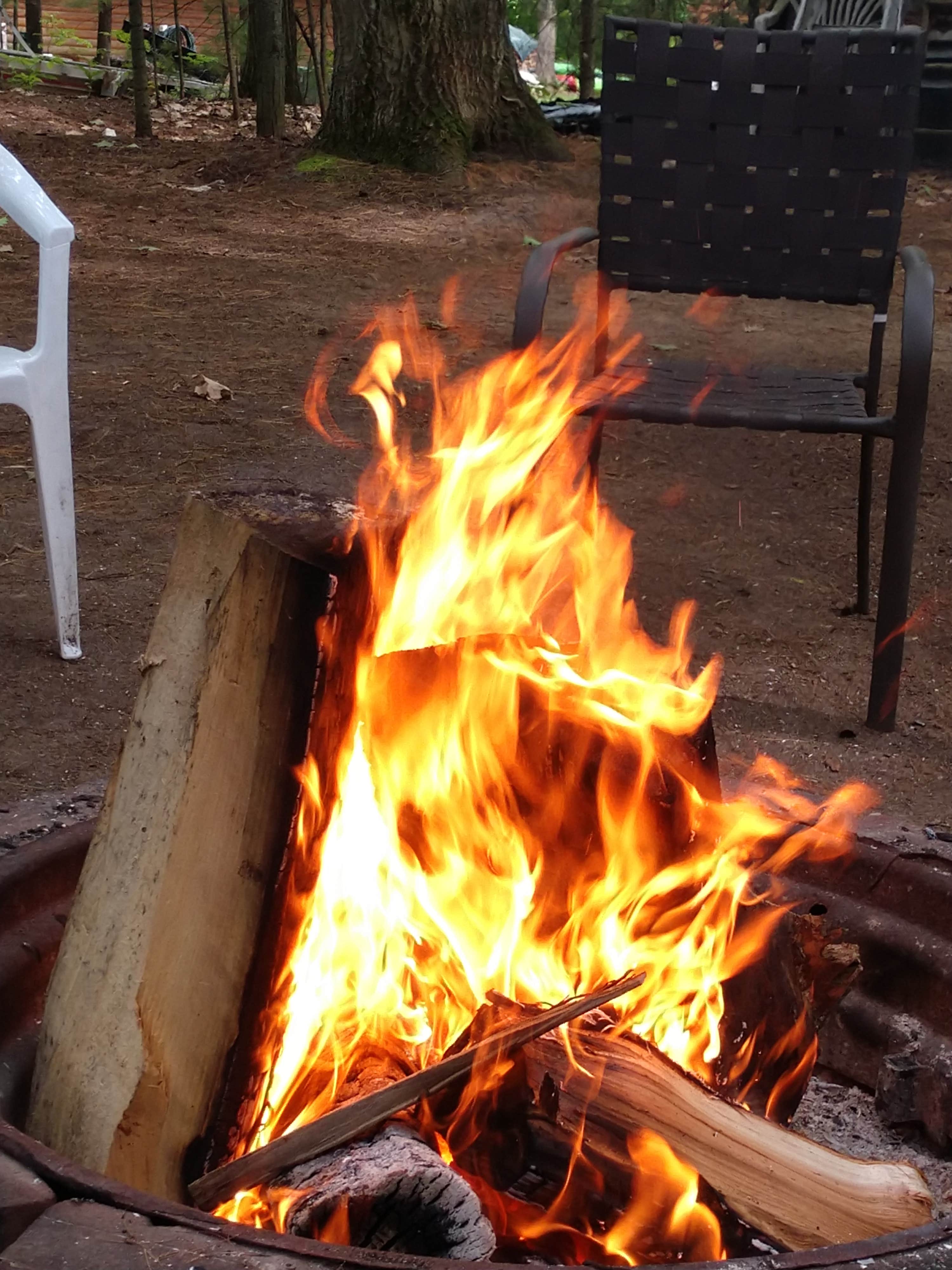 Camper submitted image from Pine Ridge Park Campsite - 3
