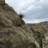 Review photo of Hole-in-the-Wall Boat Camp by Sterling C., June 20, 2019