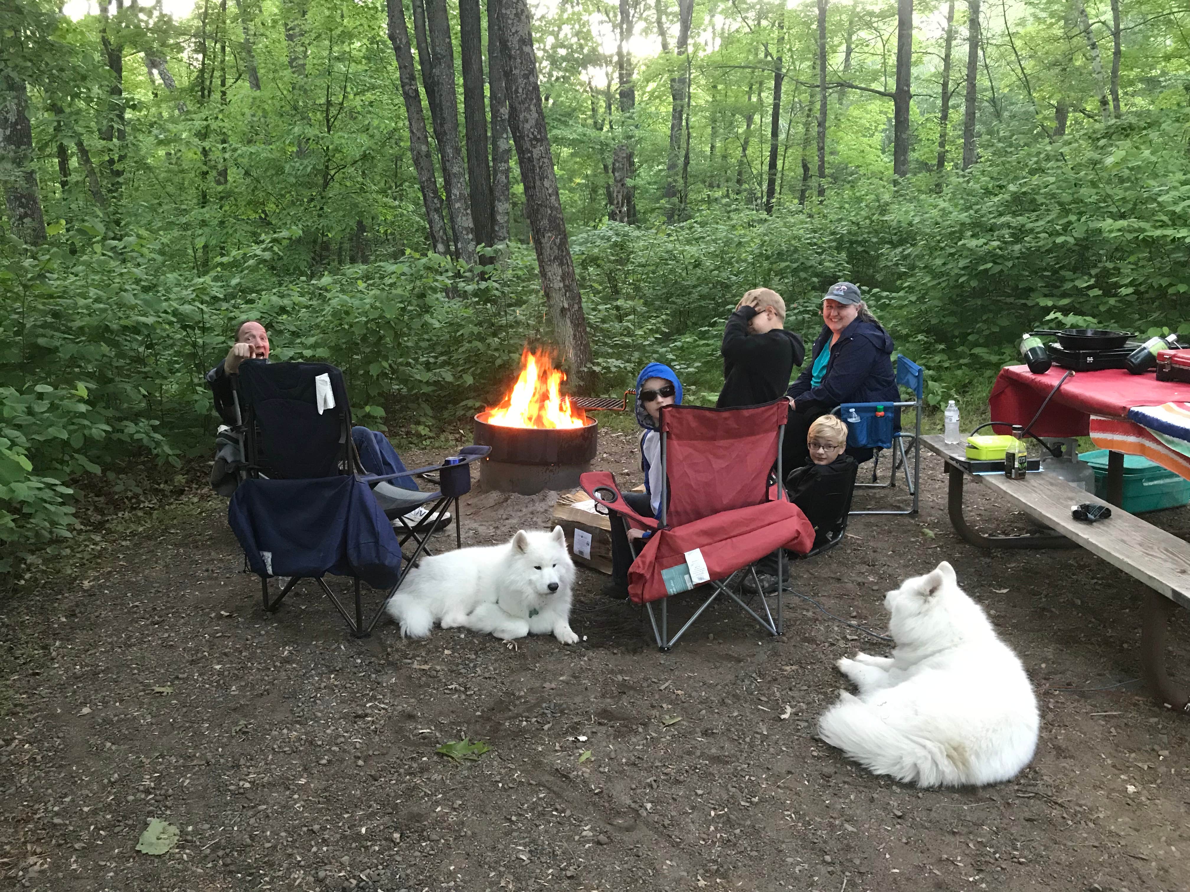 Liz H.'s photo of camping with pets at Mille Lacs Kathio Petaga Campground — Mille Lacs Kathio State Park near Brainerd, MN