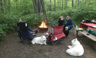 Liz H.'s photo of camping with pets at Mille Lacs Kathio Petaga Campground — Mille Lacs Kathio State Park near Fort Ripley, MN